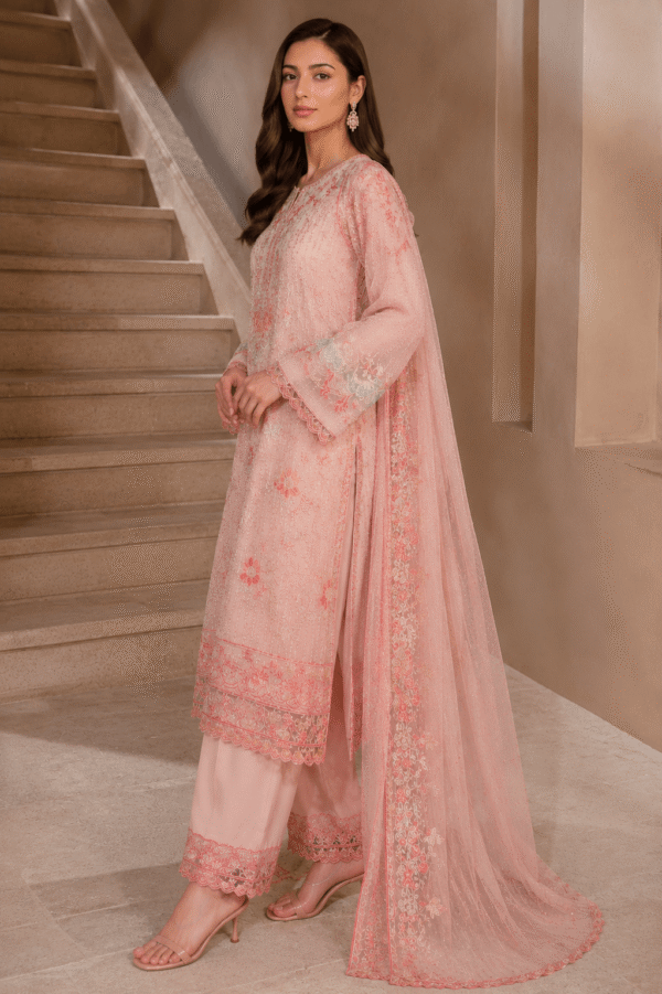 ChatGPT Image Jun 1, 2026, 08_04_31 PM (1) Blush Noor Embroidered Ensemble (Unstitched)
