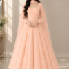 Peach Tulle Gown Portrait Peach Blossom Net Anarkali Frock